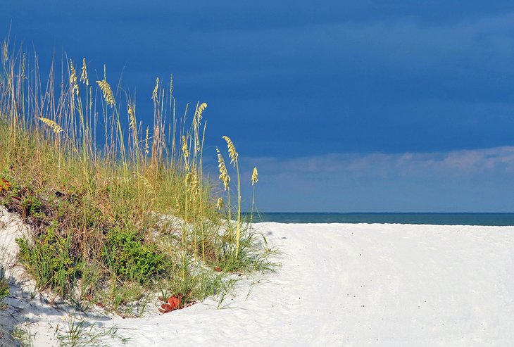 16 mejores playas de la costa del golfo de Florida