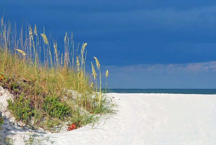 16 mejores playas de la costa del golfo de Florida 16 mejores playas de la costa del golfo de Florida