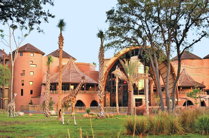 Photo Source: Disney's Animal Kingdom Lodge