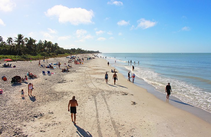 Beach near the Naples Pier