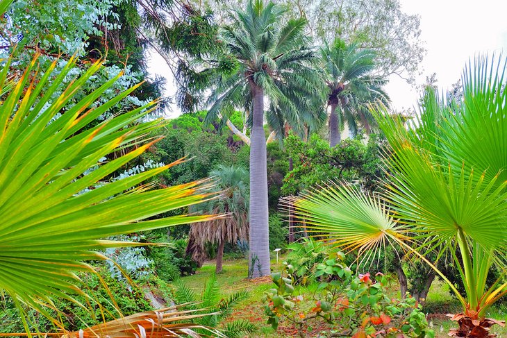 Jardin Botanique de la Villa Thuret