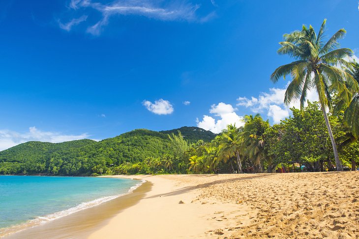 Plage de Grande Anse