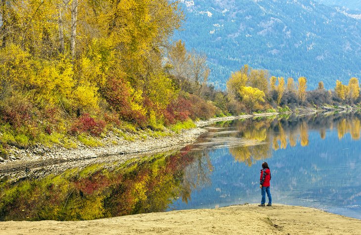 Kootenai River, near Bonners Ferry, in the fall