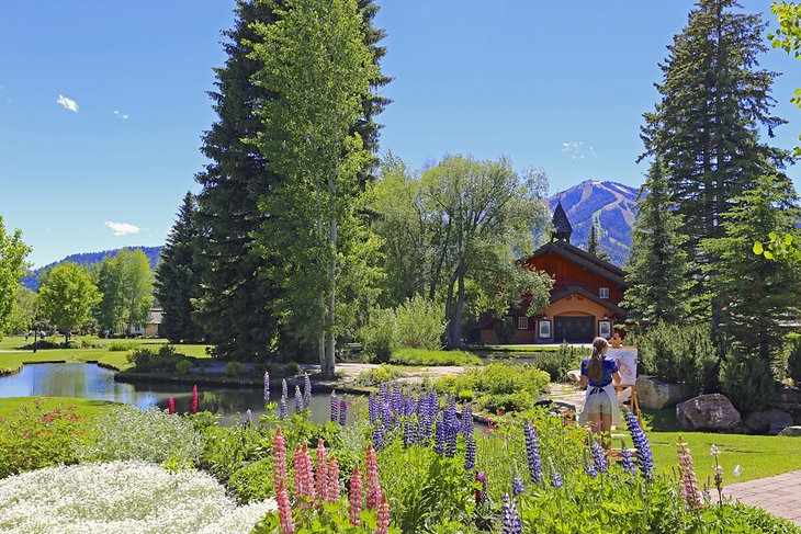 Artist capturing the splendor of Sun Valley in summer