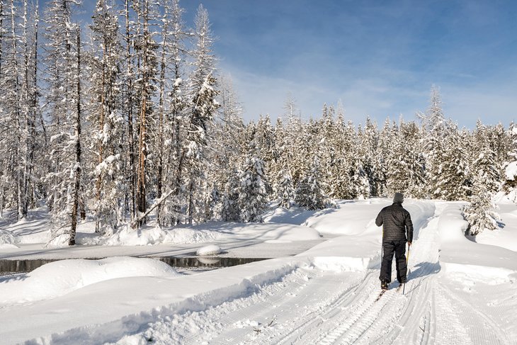 Cross-country skiing in Idaho