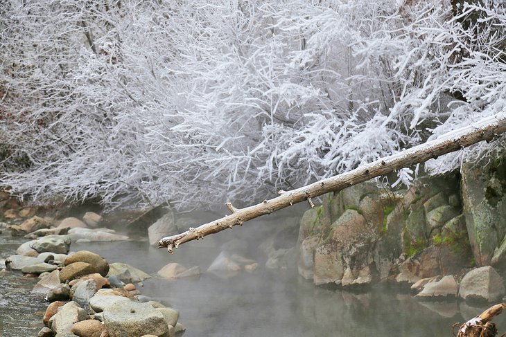 Frenchmen's Bend Hot Springs in winter