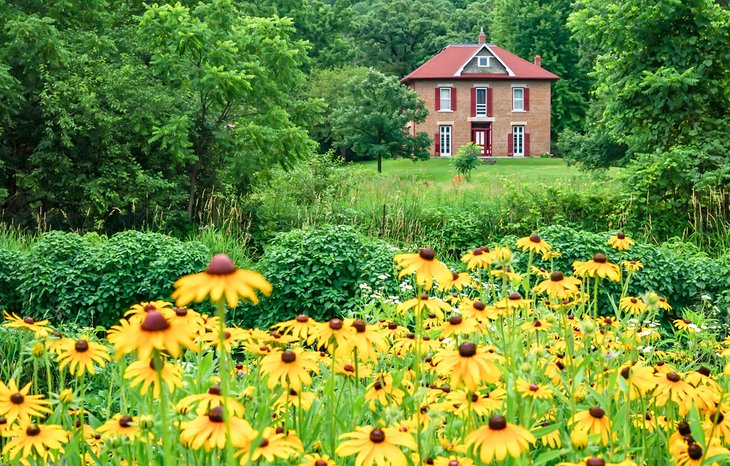 Summer in Decorah