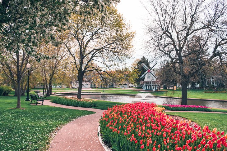 Tulips and a Dutch windmill, two trademarks of Pella