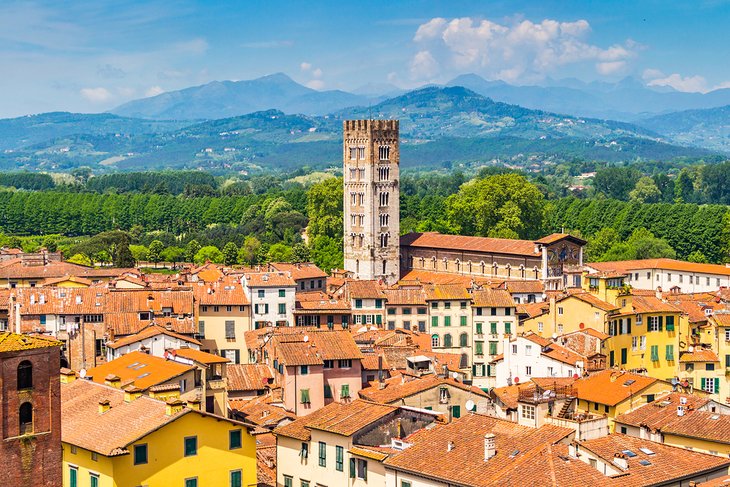 15 excursiones de un día mejor valoradas desde Florencia 15 excursiones de un día mejor valoradas desde Florencia