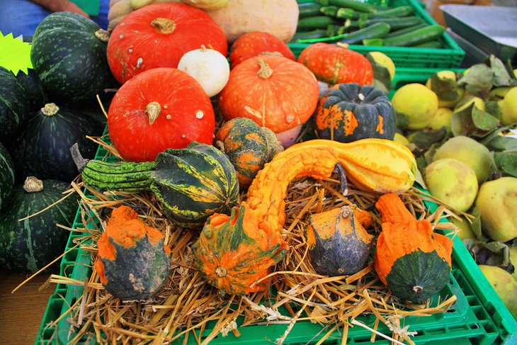 Colorful heirloom squash at the Mercato Albinelli