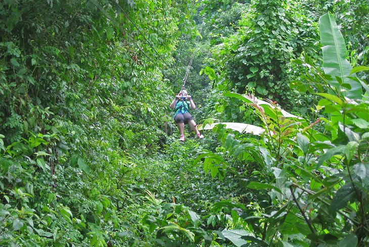Ziplining in Jamaica