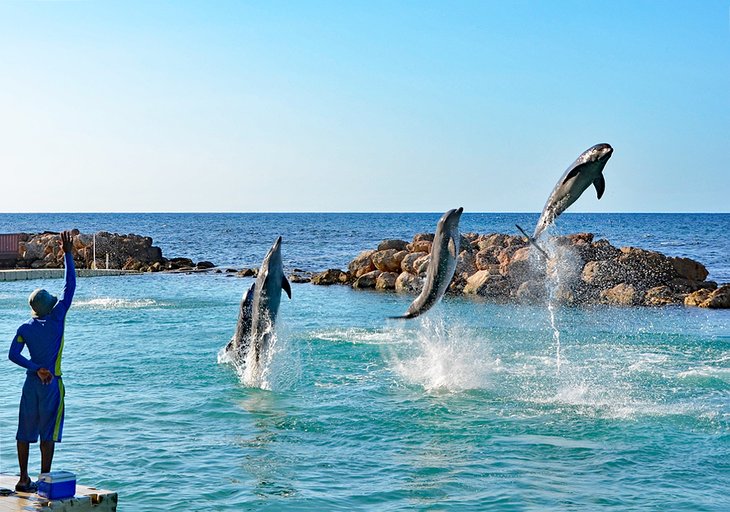 13 atracciones turísticas mejor valoradas en Ocho Ríos