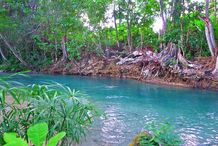 La rivière blanche
