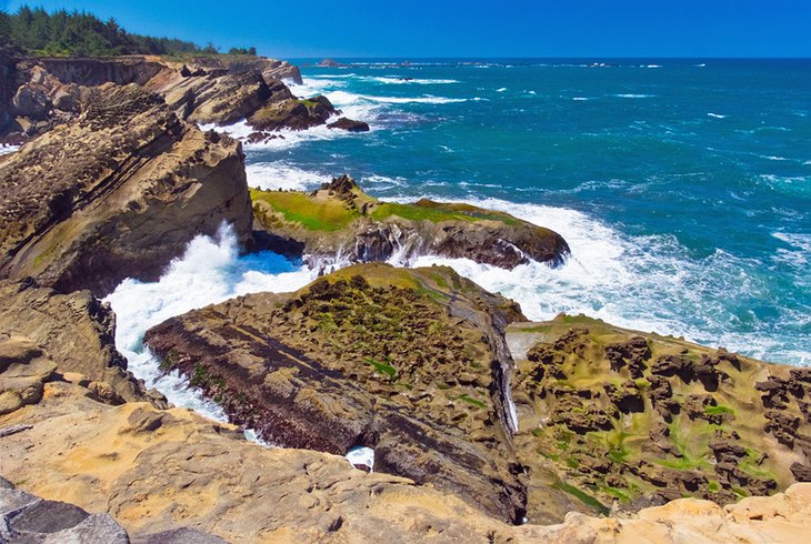 Cape Arago State Park near Coos Bay