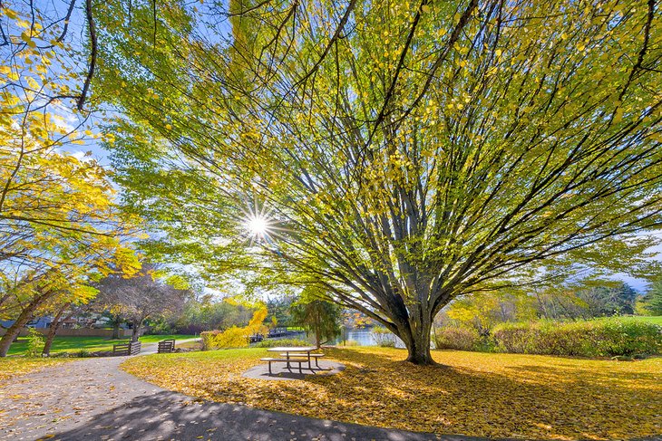 Commonwealth Lake Park in Beaverton