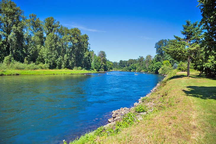 Springfield's McKenzie River