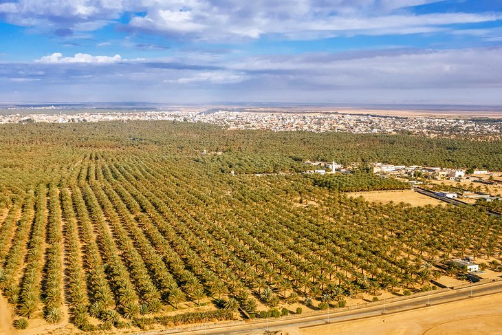 Tozeur oasis aerial view