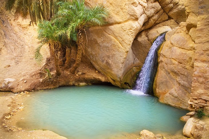 Waterfall in the Chebika oasis