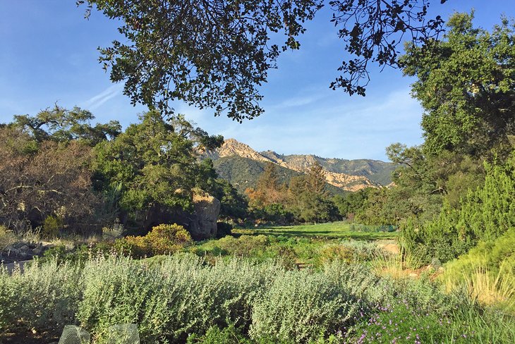 Santa Barbara Botanic Garden