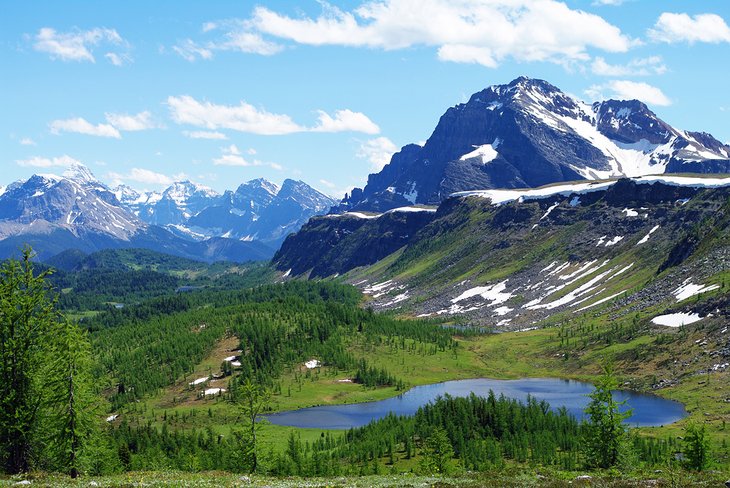 Healy Pass Trail