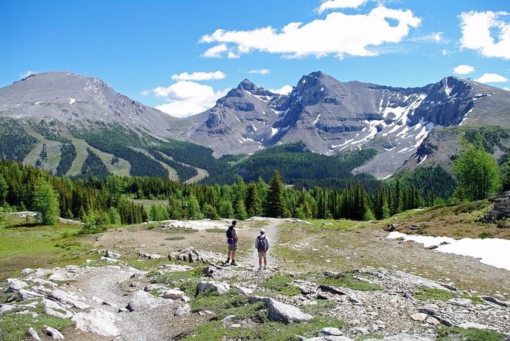 Ski runs seen from the Healy Pass Trail