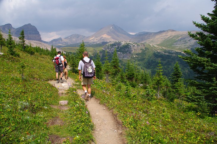 Hikers on the Trail to Helen Lake