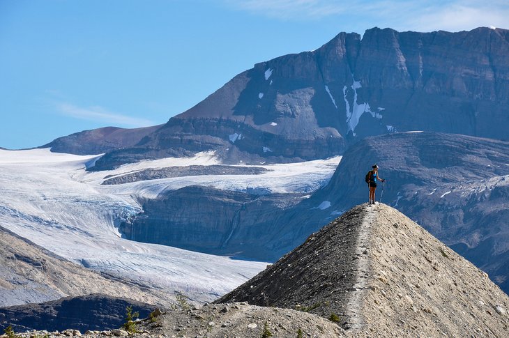 Iceline trail in Yoho National Park