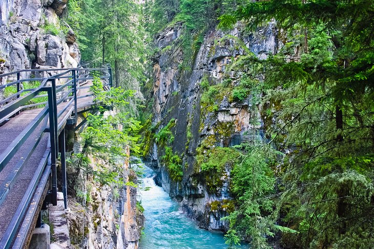 11 mejores caminatas en el Parque Nacional Banff