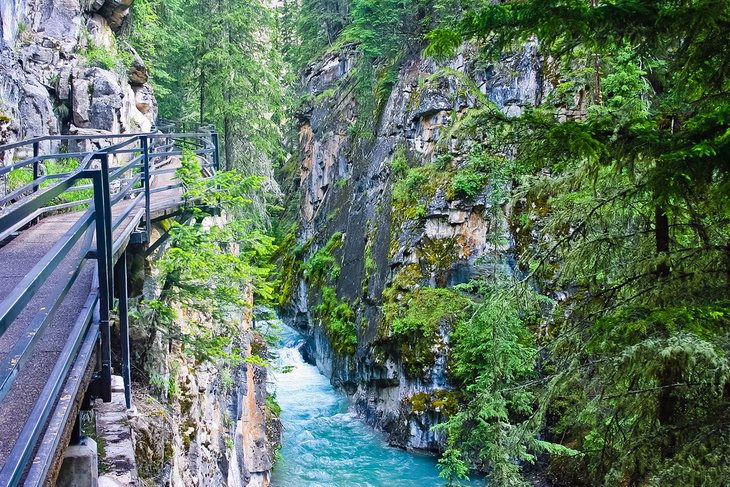 Johnston Canyon