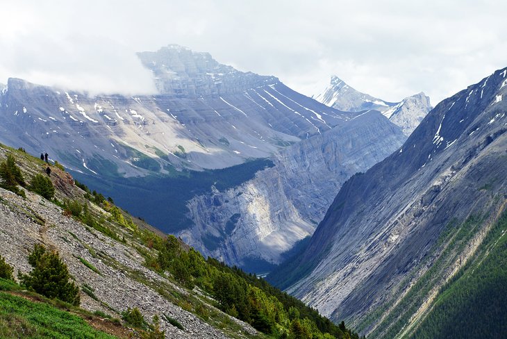 Hikers on the Parker Ridge Trail