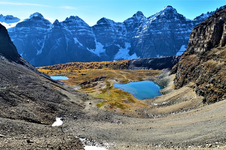 View from Sentinel Pass over larch trees in fall