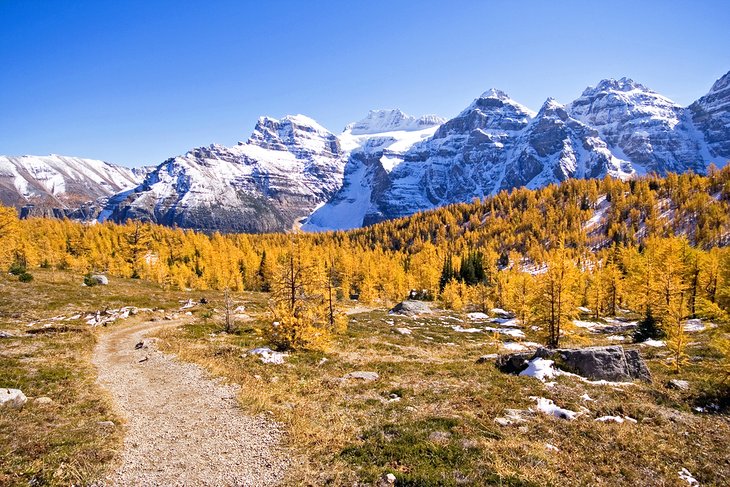 8 mejores caminatas en Lake Louise