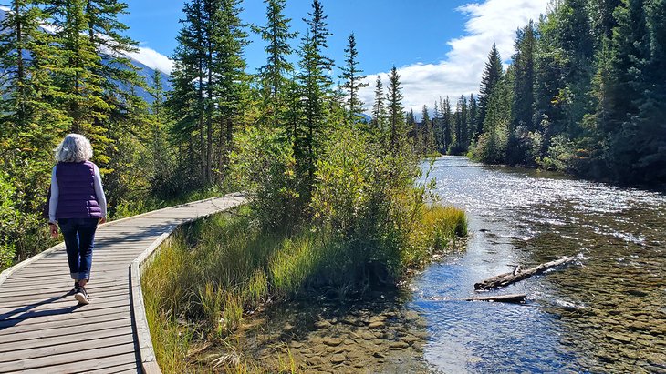 canada-alberta-canmore-things-to-do-policemans-creek-trail.jpg