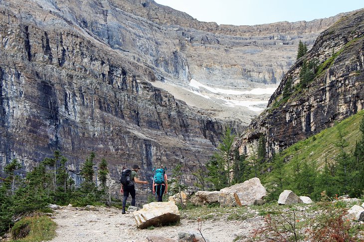 8 mejores caminatas en Lake Louise