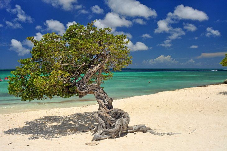 Eagle Beach, Aruba