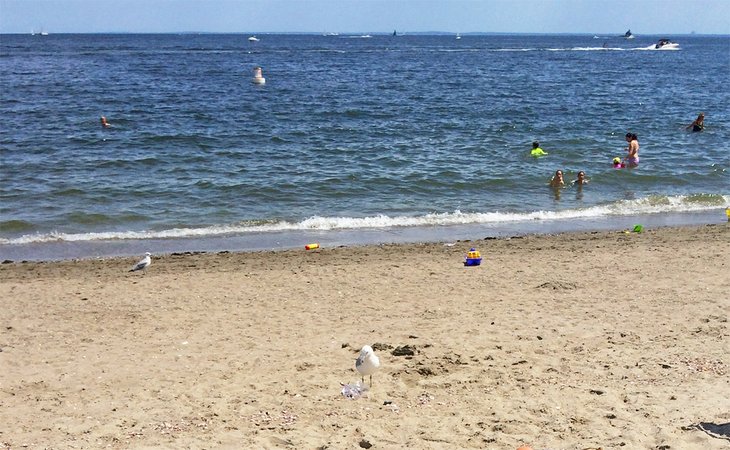 12 playas mejor valoradas en Connecticut