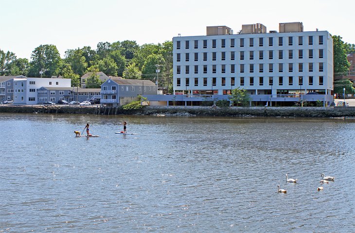 Stand up paddleboarding in Westport