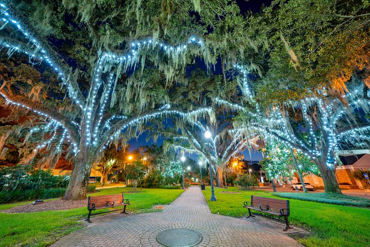 Bloxham Park in Downtown Tallahassee with holiday lights