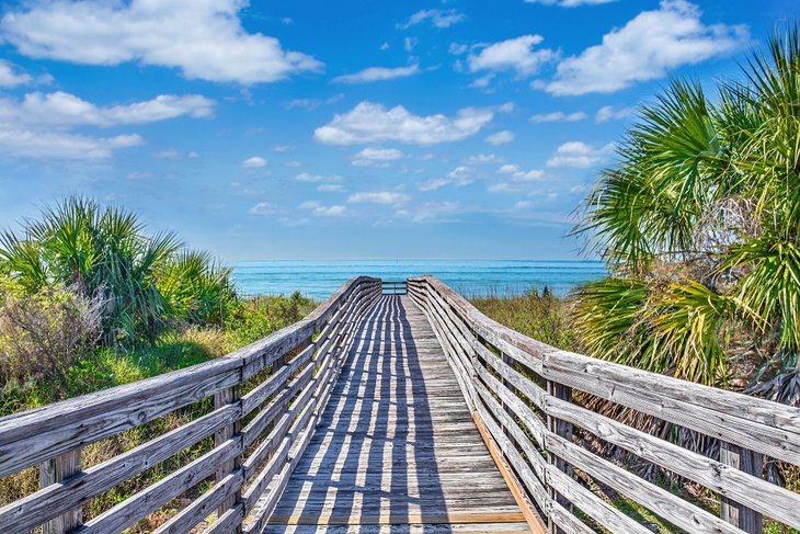 Walkway to Honeymoon Island State Park