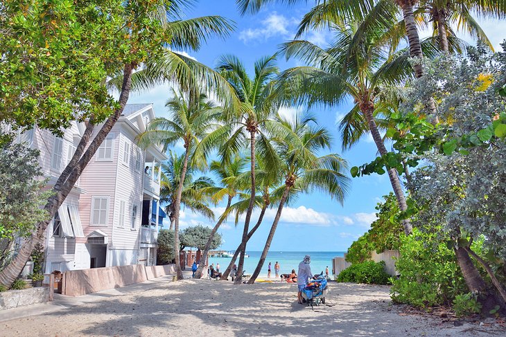 Pathway to the Key West Dog Beach