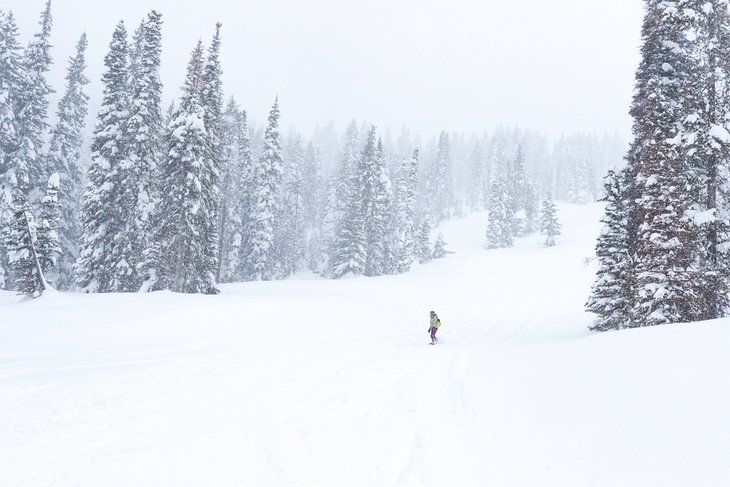 Snowboarder at Tamarack Resort