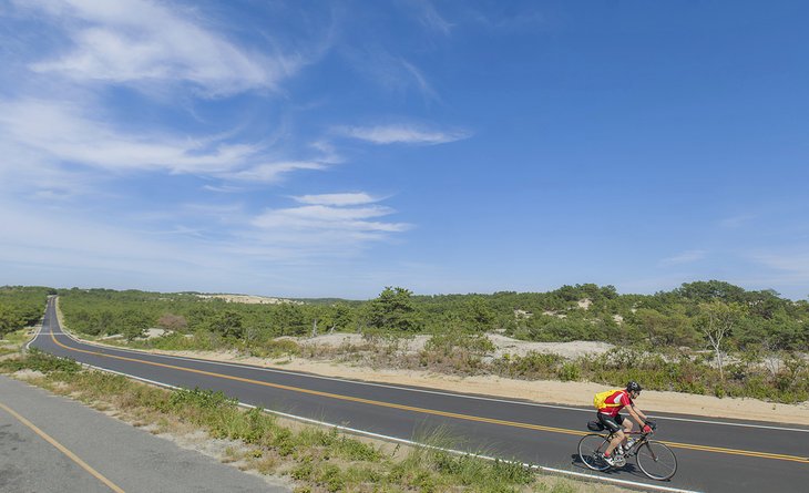 Province Lands Bike Trail