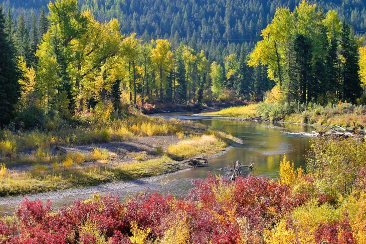 12 mejores lugares para la pesca con mosca en Montana