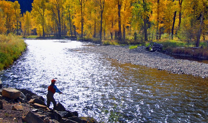 Backlit fly fisherman on Rock Creek