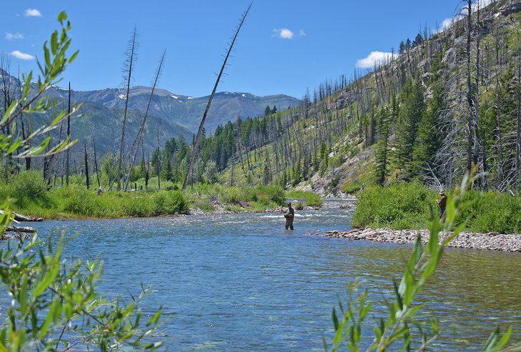 12 mejores lugares para la pesca con mosca en Montana