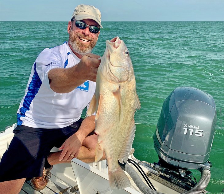 Lake Erie sheepshead