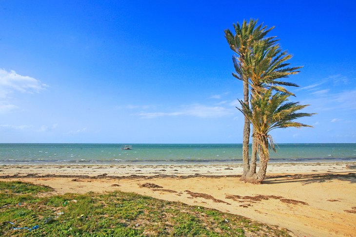 Beach in the Kerkennah Islands