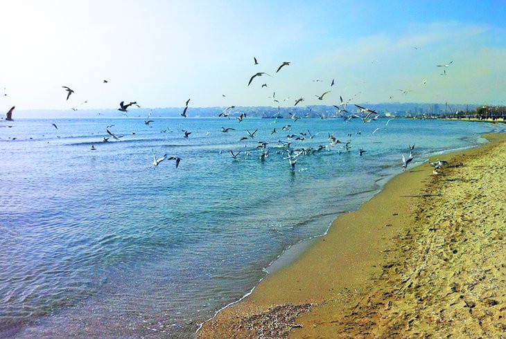 Beach at Büyükçekmeçe