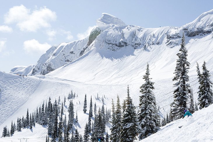 Fernie Alpine Resort