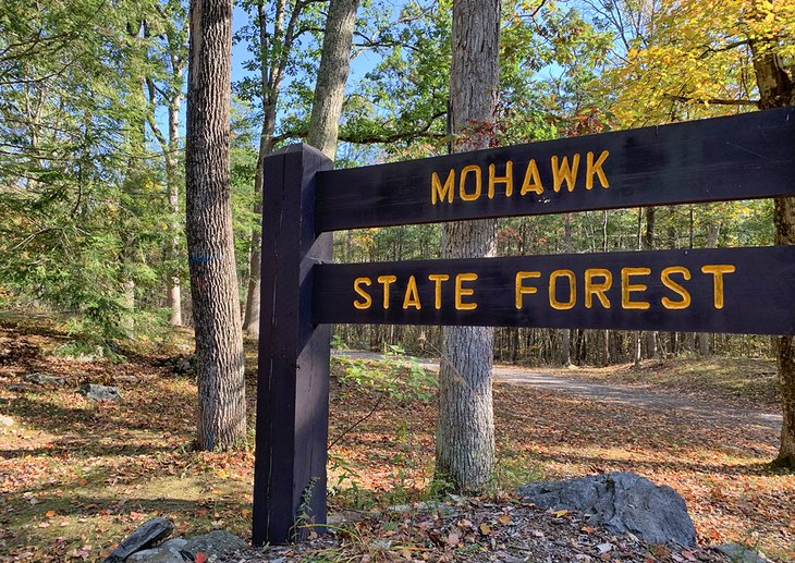 Mohawk State Forest